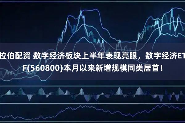 拉伯配资 数字经济板块上半年表现亮眼，数字经济ETF(560800)本月以来新增规模同类居首！