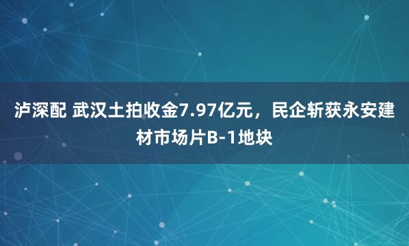 泸深配 武汉土拍收金7.97亿元，民企斩获永安建材市场片B-1地块